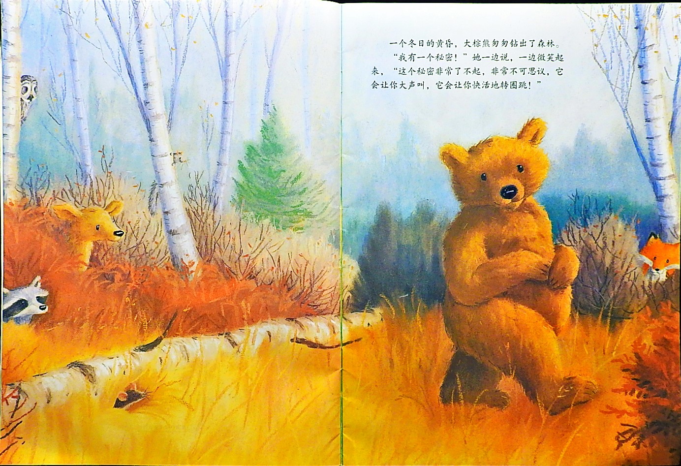 大棕熊的秘密 (04),绘本,绘本故事,绘本阅读,故事书,童书,图画书,课外阅读